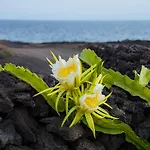 Punta De La Pared