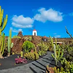 The Birds House, Large Terrace With Garden View