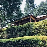 Bwindi Forest Lodge