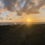 Volcano View