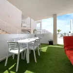 Monarca House, Senator