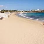 Conylanza Tabayba Blue