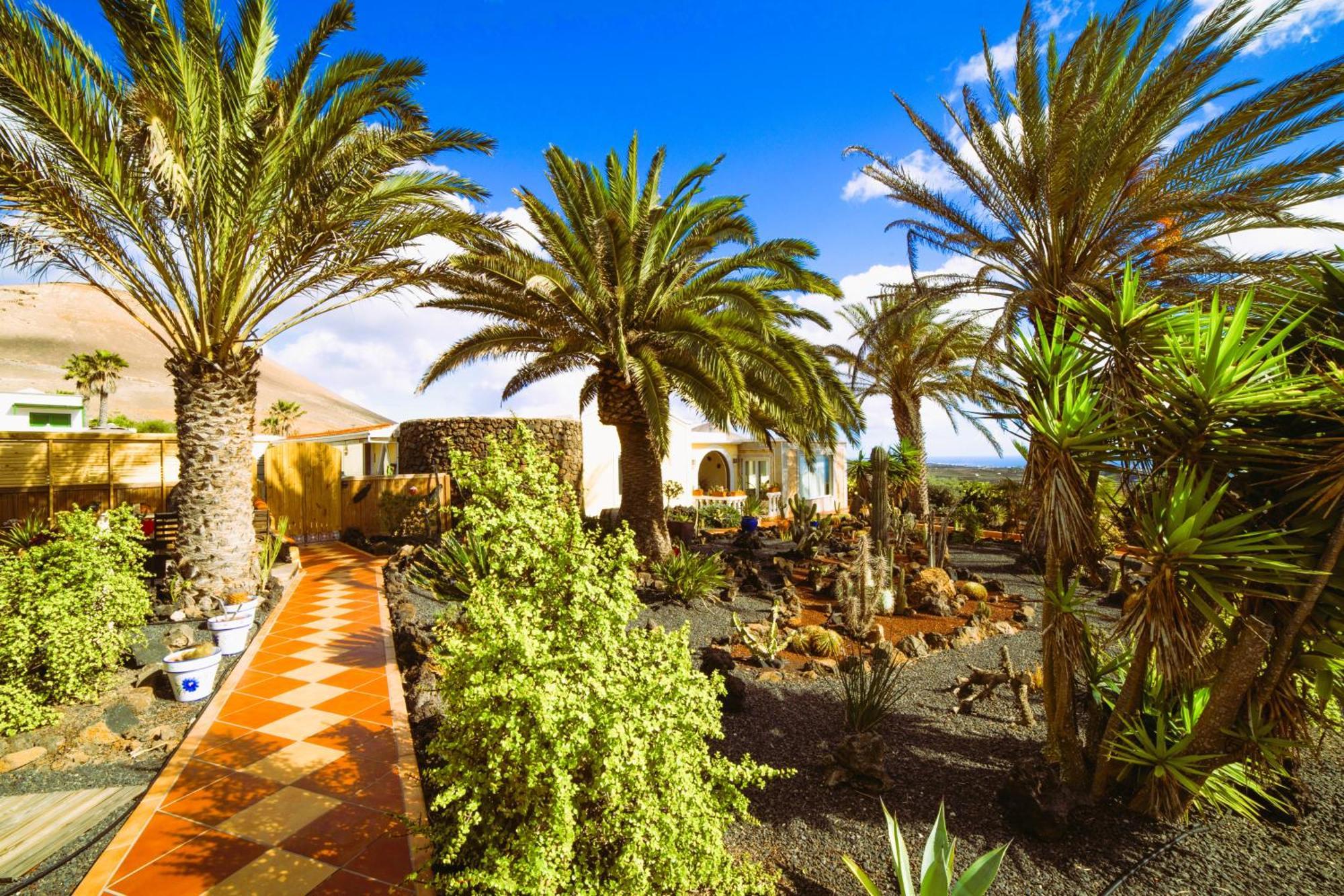 Tiny House Madora - Sea View - Amazing Garden - Quiet Location - Bodegas & Hiking Trails Nearby Appartement