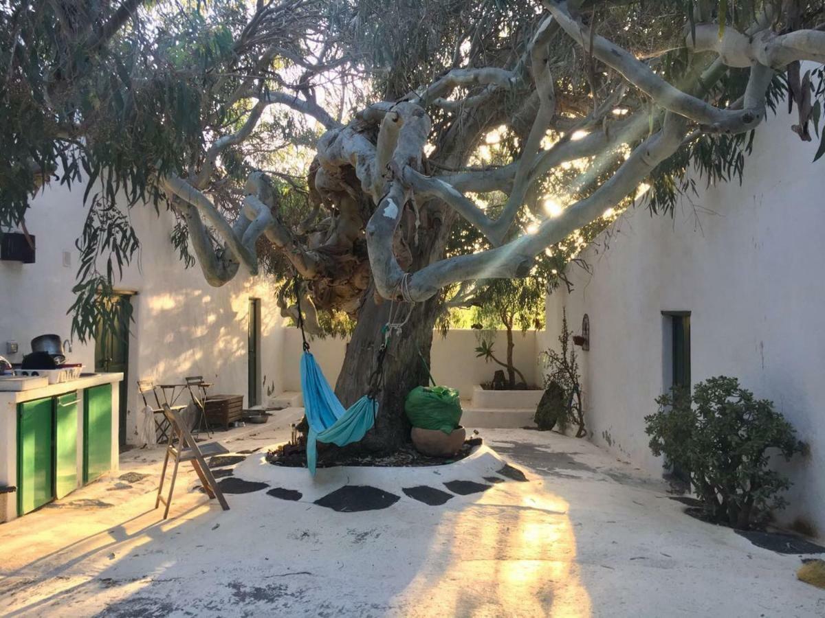 Bed and breakfast Patio Ii At La Asomada (Lanzarote)